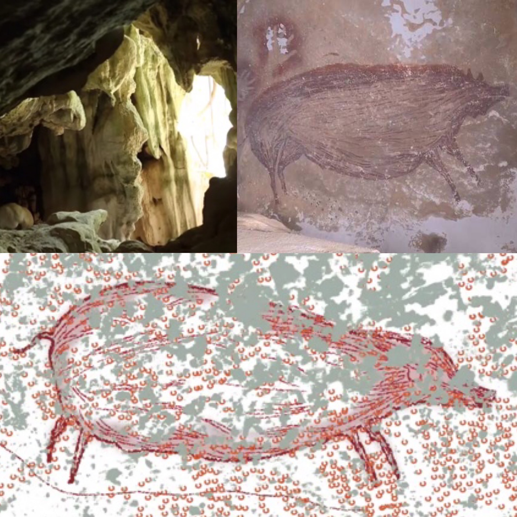 In Indonesia nell’isola di Suwalesi le pitture rupestri più antiche del mondo